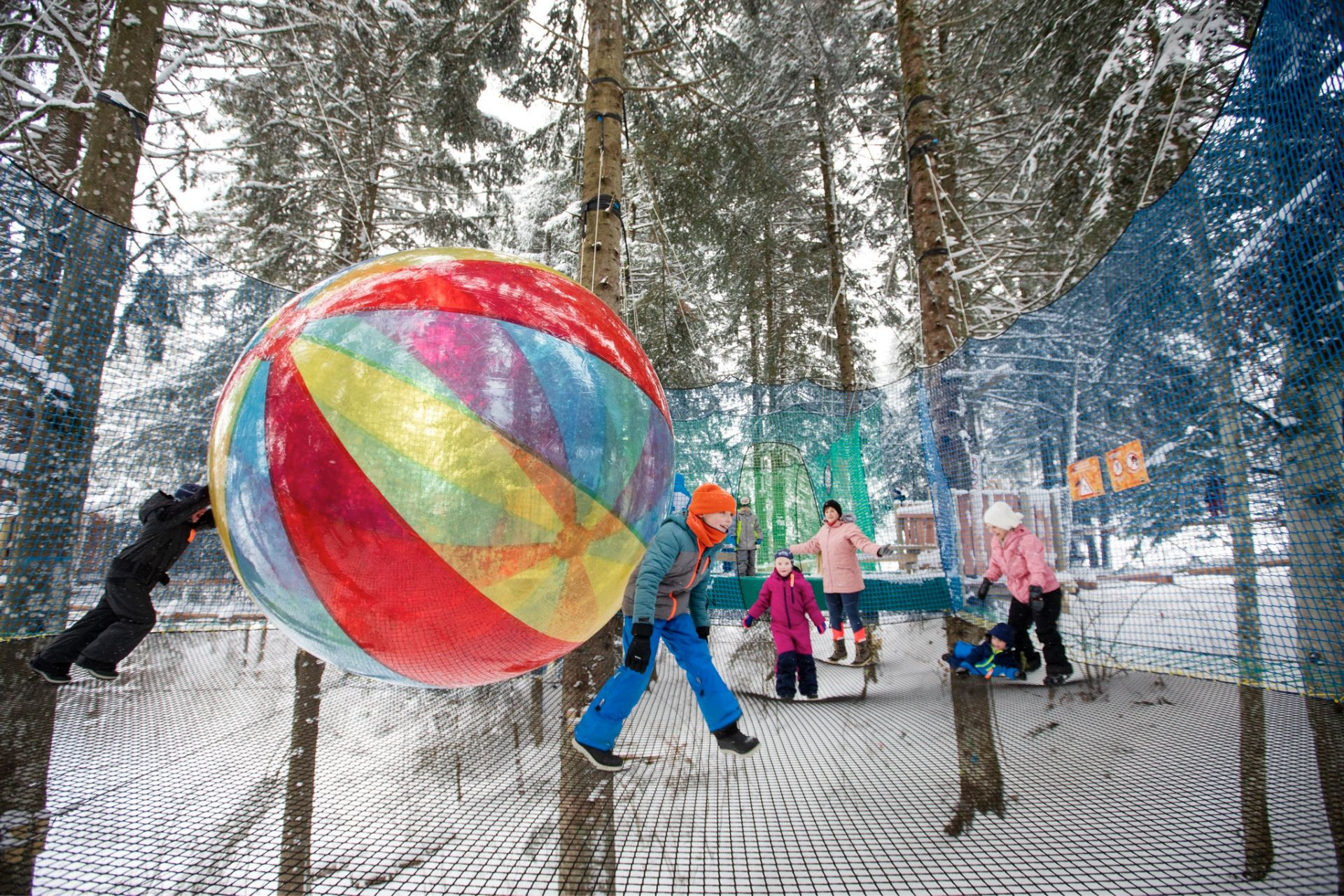 haut-doubs-bois-des-chats-gris-metabief-aventures-sophie-cousin-1270