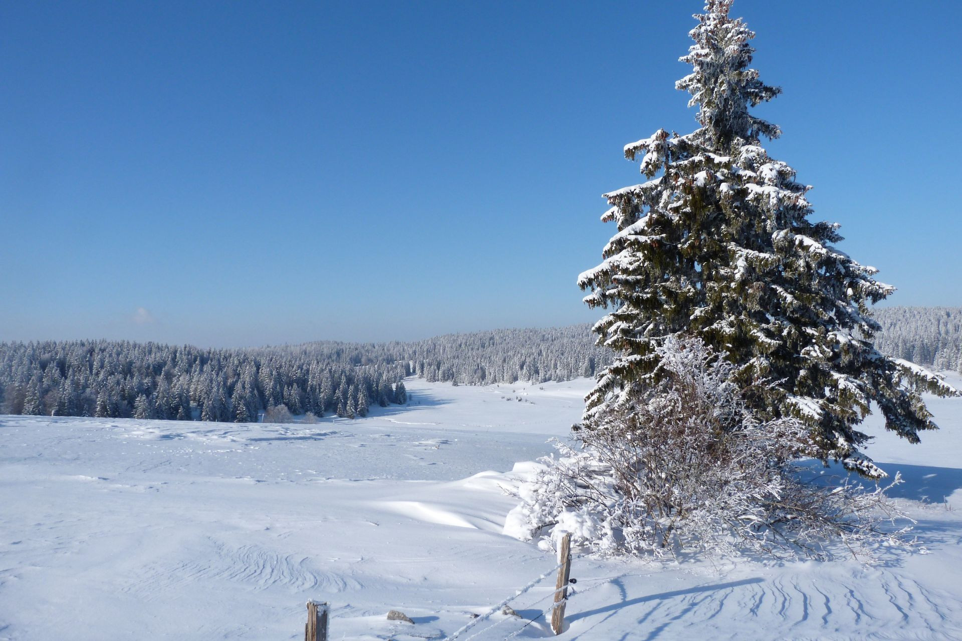 haut-doubs-mouthe-combe-ym-neige-hiver-659
