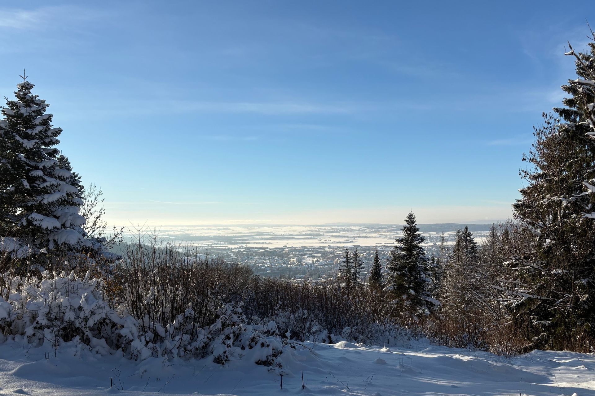 Pontarlier, Arboretum