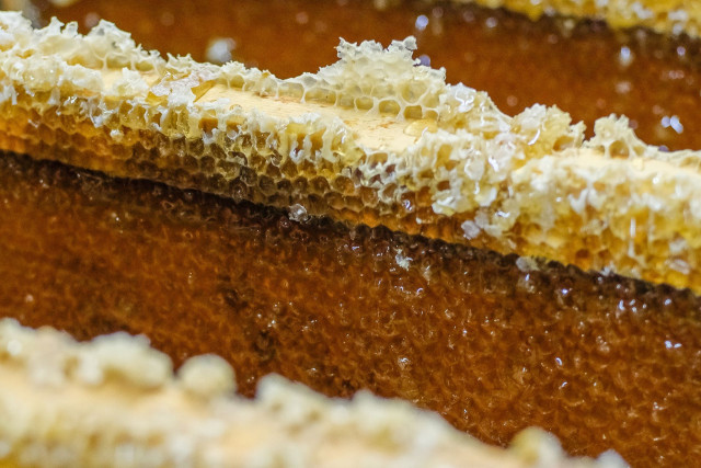 haut-doubs-miel-rucher-producteur-cheni-film-1377