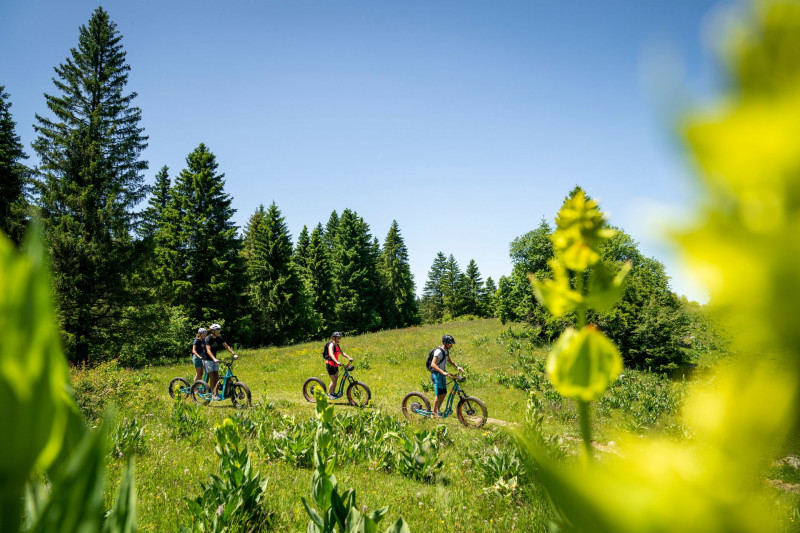 Alpage des Granges Raguin