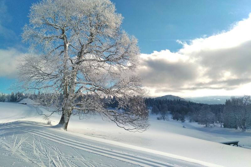 Domaines skiables du Haut-Doubs (nordiques et alpins)