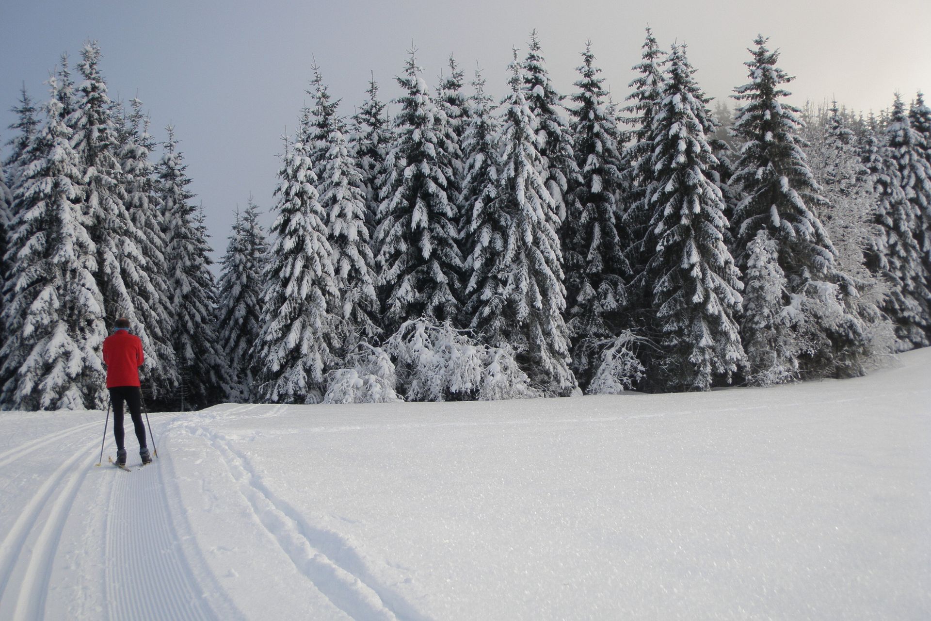 ahaut-doubs-ski-de-fond-les-fourgs-elisabeth-contejean-156267 - &copy; Elisabeth Contejean