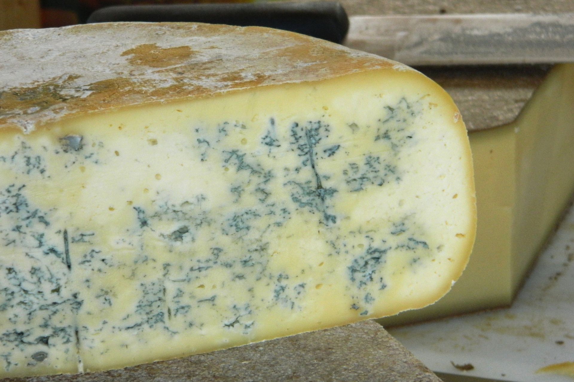 Bleu de Gex - &copy; CPPR Franche-Comté