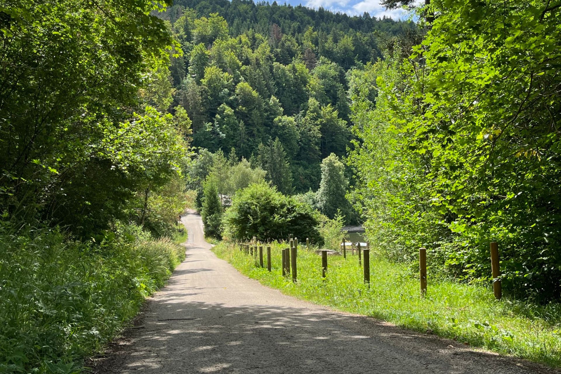 Chemin de balade - &copy; Marion Monnier