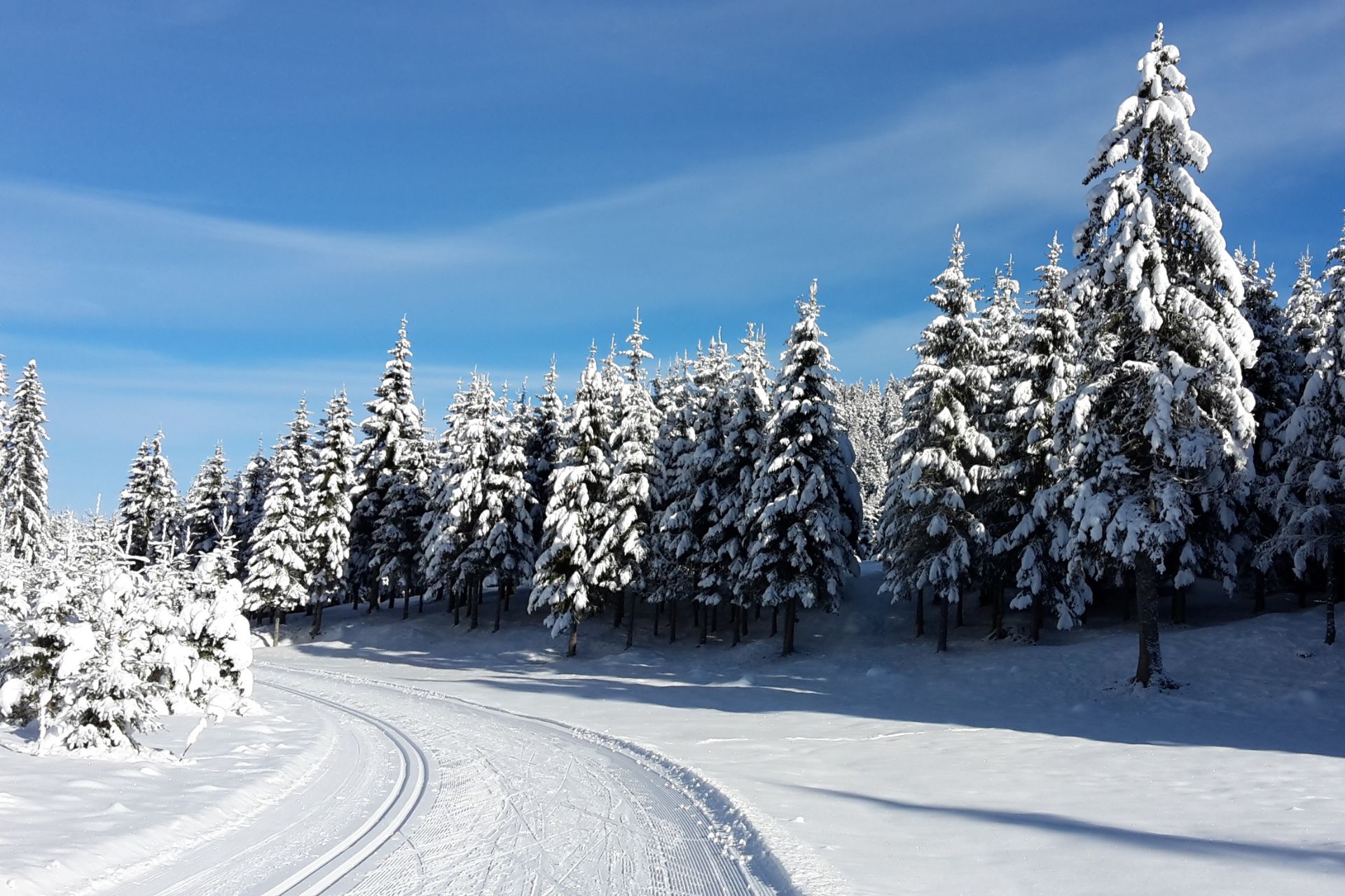 haut-doubs-paysage-hiver-val-de-mouthe-gilles-goelzer-14471