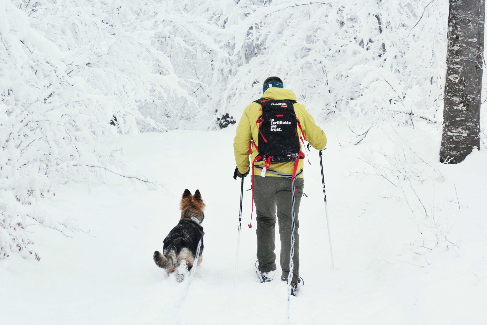 haut-doubs-raquette-chien-balade-joanna-maringue-118409 - &copy; Joanna Maringue 
