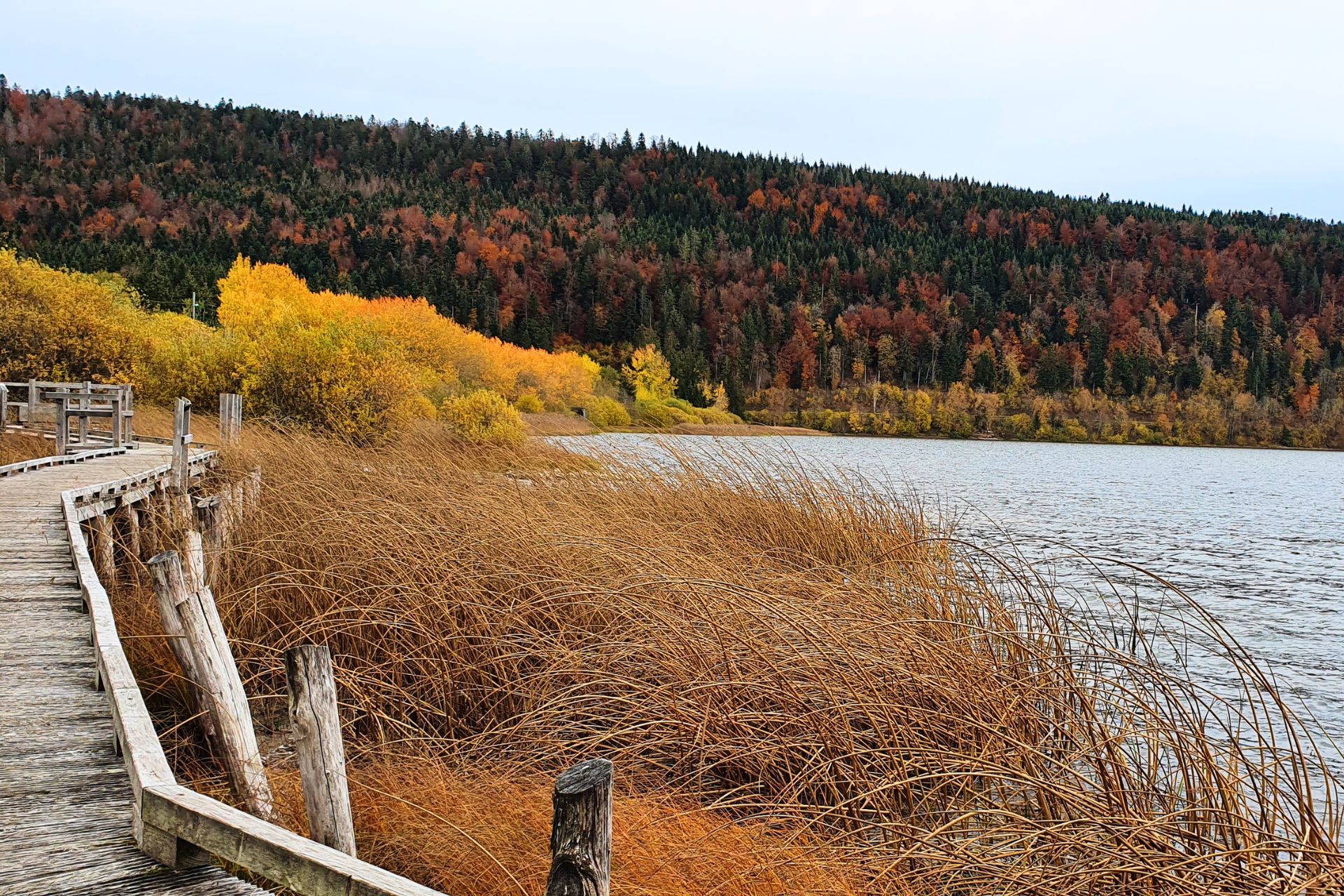 Lac de Bouverans – Marais du Varot - &copy; Cyrielle Viey