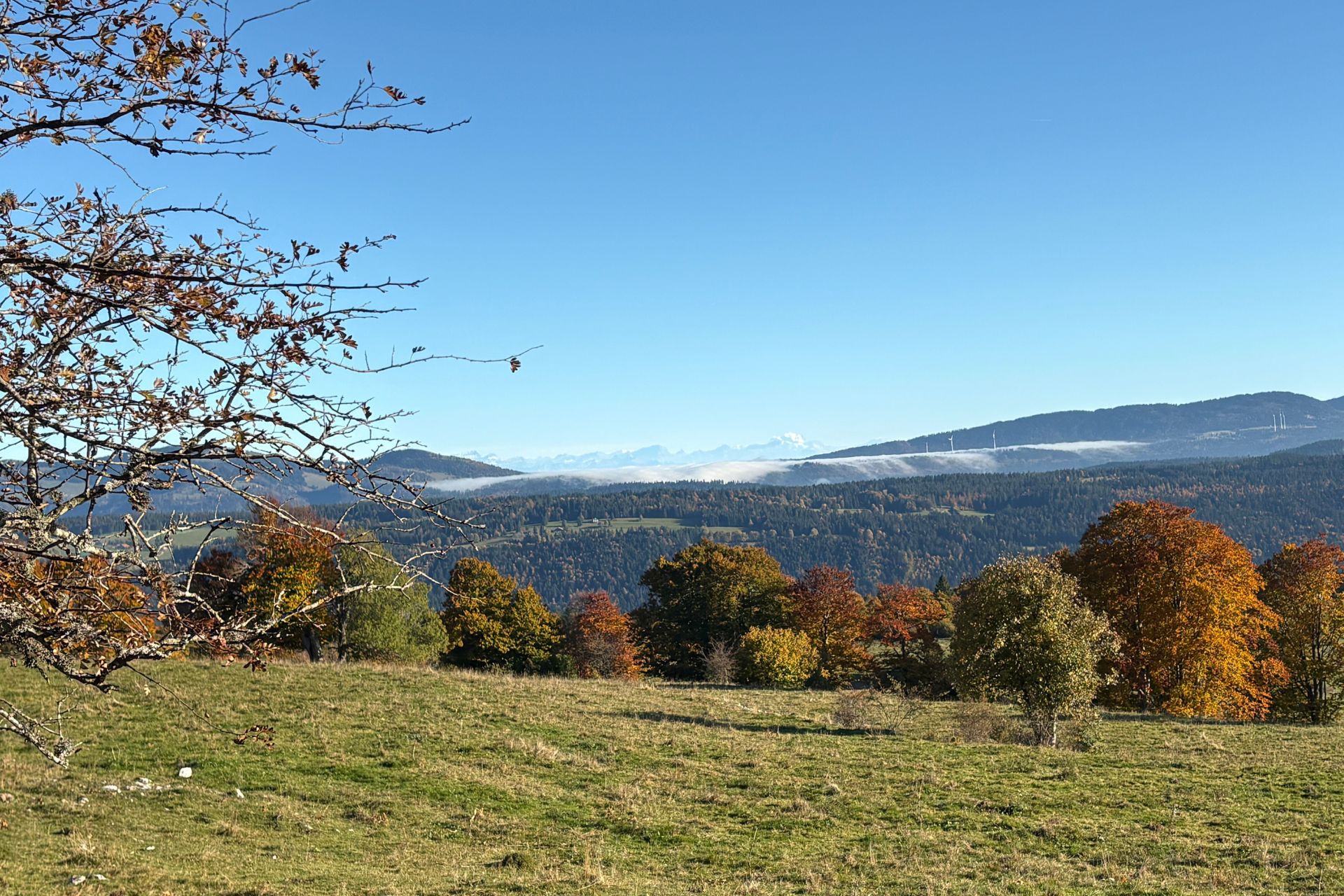 Larmont - &copy; Juliette MELQUIOND