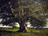 MUSÉE COURBET_6