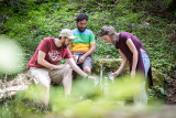 Distillerie Stillerie 