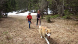 balade nature en cani-randonnée
