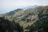 Réserve Naturelle Nationale de la Haute Chaîne du Jura