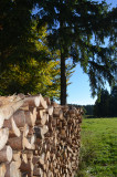 randonnée La Roche Sarrasine Pile de bois © HUMBERT Maud_2