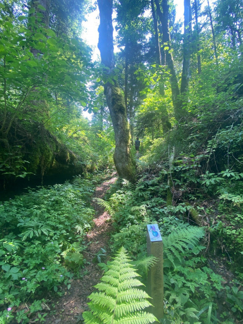 -Claire-Leboisselier-Karst-1