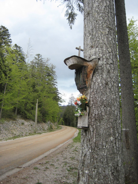 Epicéa-Oratoire Notre-Dame
