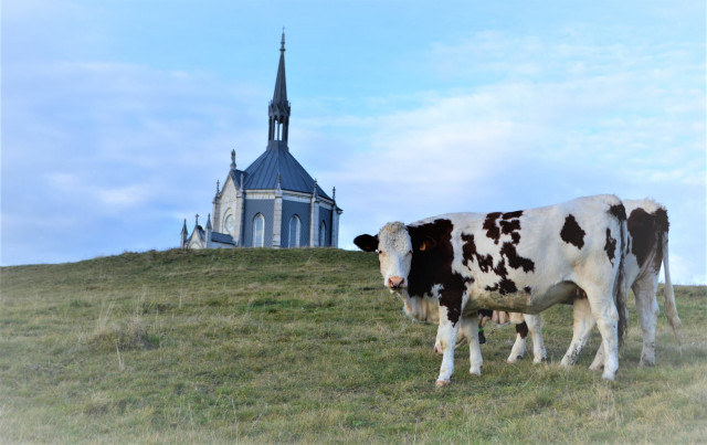 Chapelle Notre-Dame des Anges