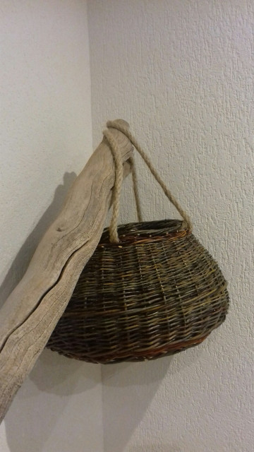 creation saule sauvage