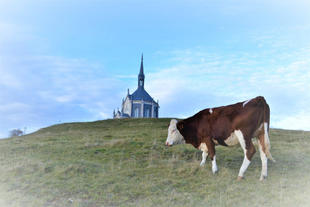 Chapelle Notre-Dame des Anges