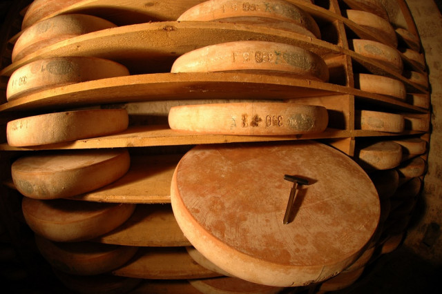 CAVES D'AFFINAGE DU FORT SAINT ANTOINE_7