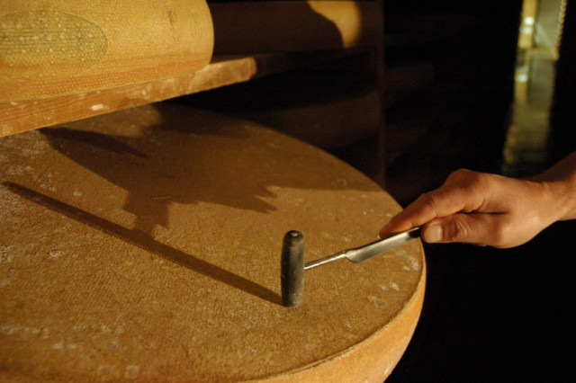 CAVES D'AFFINAGE DU FORT SAINT ANTOINE_8