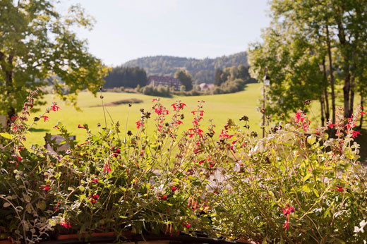 HÔTEL - ÉTOILE DES NEIGES_10