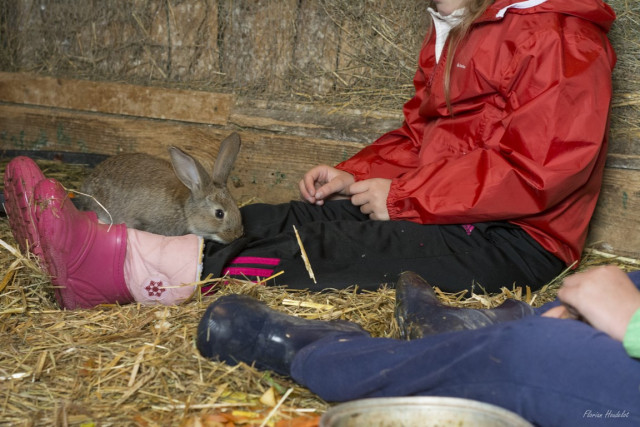FERME LA BATAILLEUSE_5