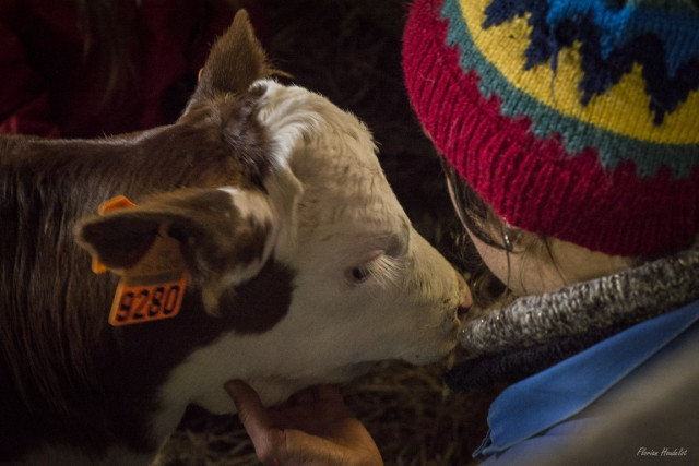 FERME LA BATAILLEUSE_6