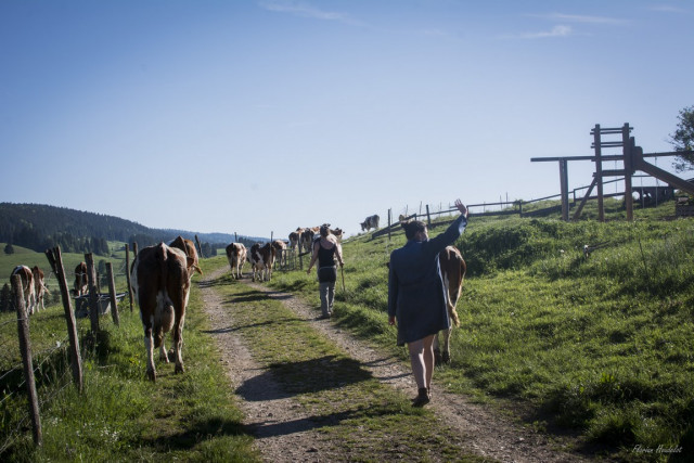 FERME LA BATAILLEUSE_7