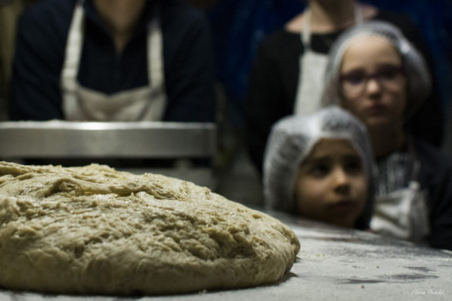 FERME LA BATAILLEUSE_3