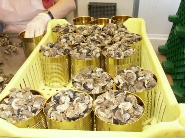 ROBBE ESCARGOTS DES MONTS JURA_10