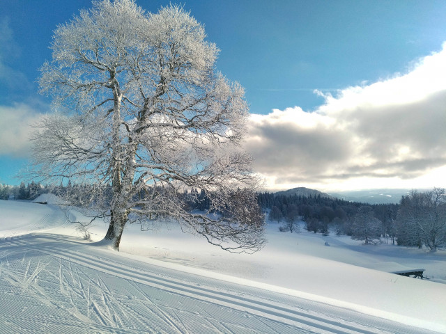 ESI EVASIONS NORDIQUES_5