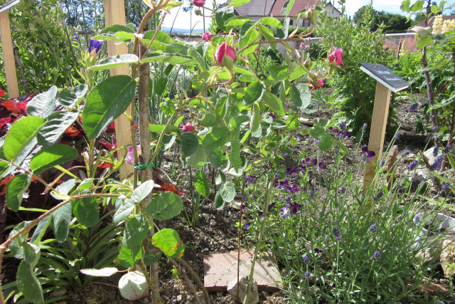 MAISON DU PATRIMOINE_6