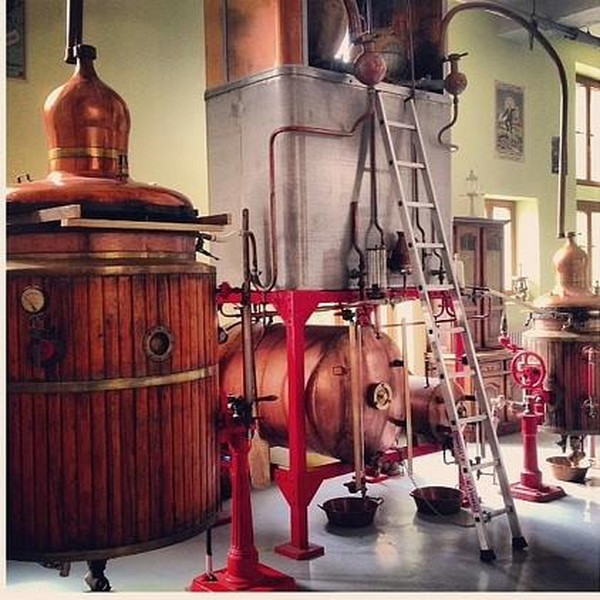 DISTILLERIE -  LES FILS D'ÉMILE PERNOT_3