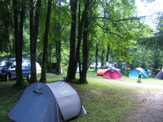 CAMPING - DE LA FORÊT_7