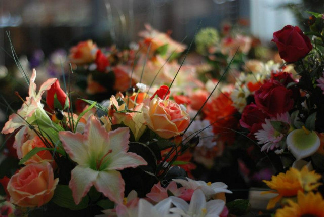 JARDINERIE / DÉCORATION / ANIMALERIE - VILLA VERDE_3