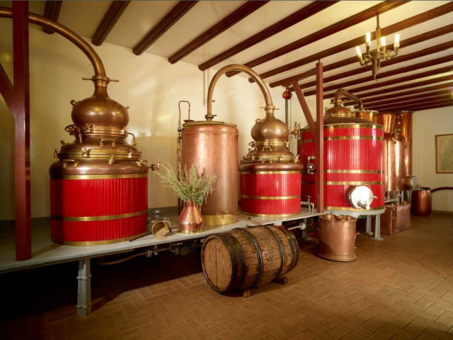 DECOUVERTE DE LA ROUTE DE L'ABSINTHE_2