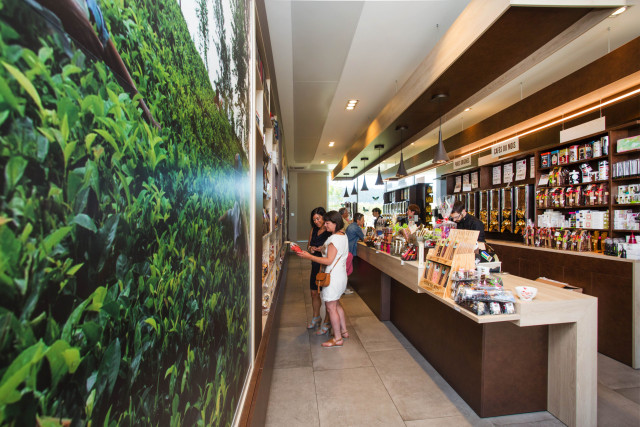 TORRÉFACTION - CAFÉS QUERRY_8