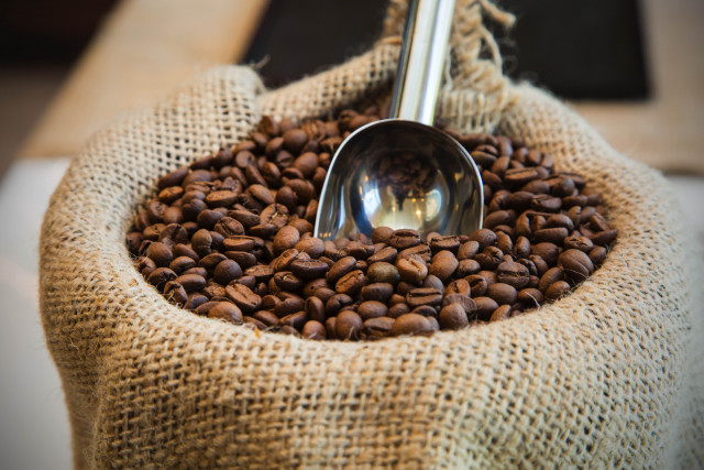 TORRÉFACTION - CAFÉS QUERRY_5