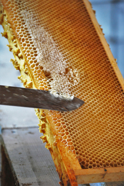 LE RUCHER DES DEUX LACS_10