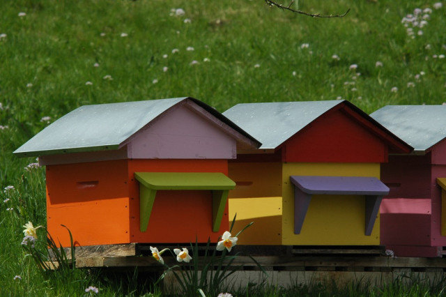 LE RUCHER DES DEUX LACS_7