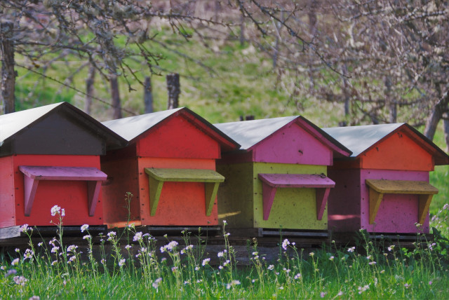 LE RUCHER DES DEUX LACS_9