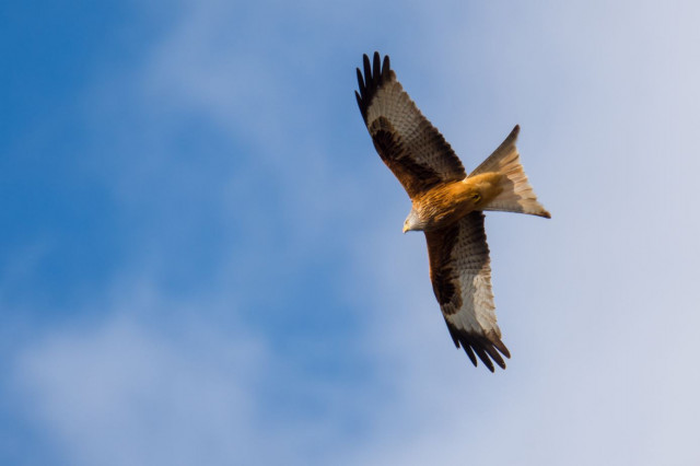 Légende photo extérieur 3_3