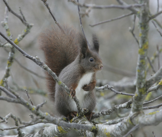 MAISON DE LA RÉSERVE_4