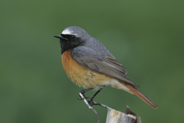 MAISON DE LA RÉSERVE_5