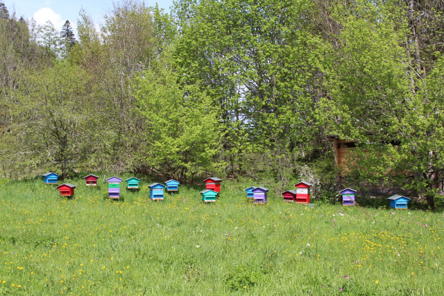 LE RUCHER DES DEUX LACS_10