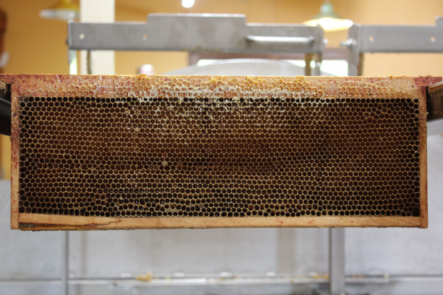 LE RUCHER DES DEUX LACS_8