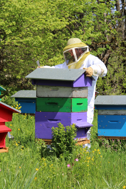 LE RUCHER DES DEUX LACS_9