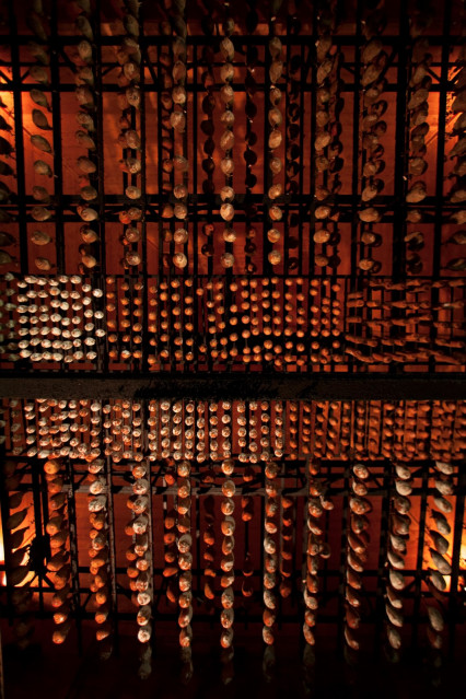 TUYÉ DU PAPY GABY_6