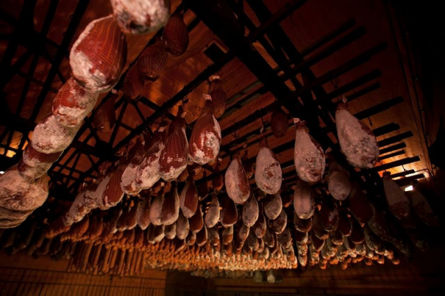 LE TUYÉ DU PAPY GABY_5